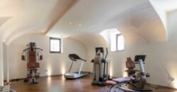 Luxury small apartment FOR SALE in the RIPPL house!