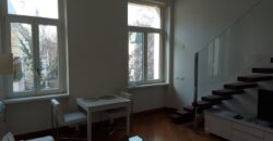 Luxury small apartment FOR SALE in the RIPPL house!
