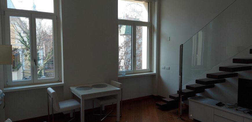 Luxury small apartment FOR SALE in the RIPPL house!